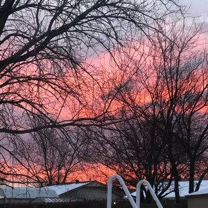 Meet your Posher, Ella